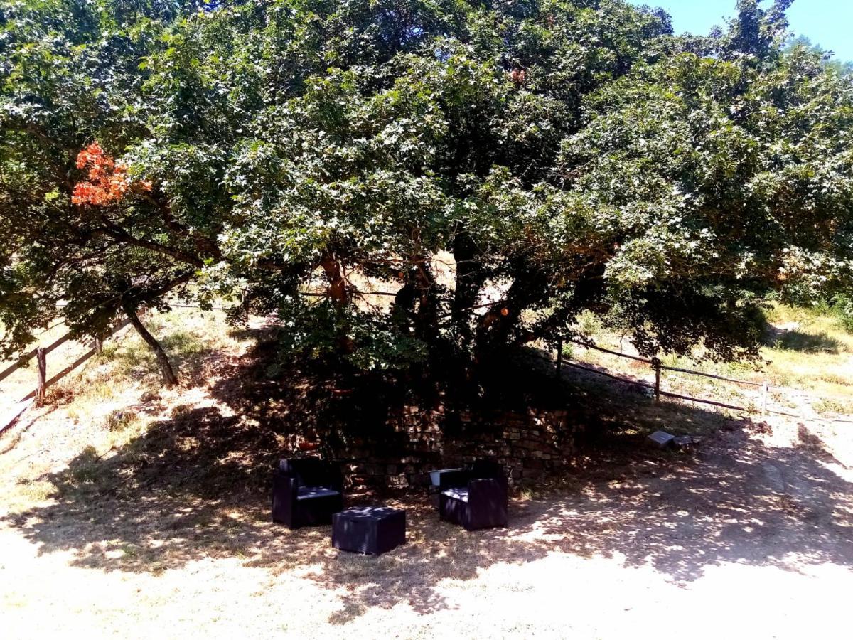 Locanda Di Alberi Borgo San Lorenzo Buitenkant foto