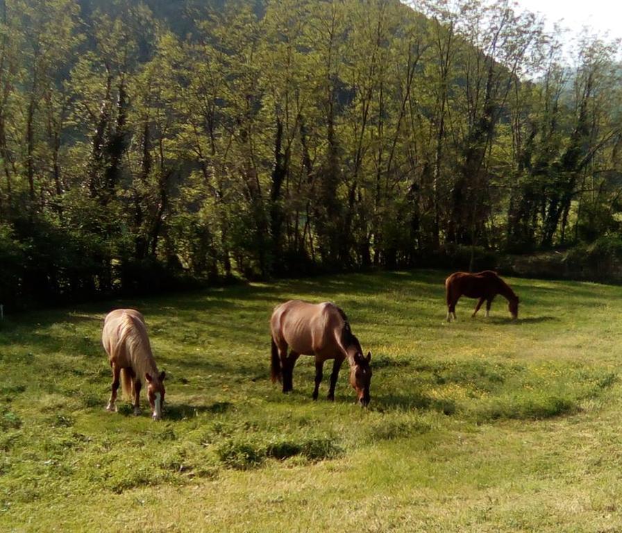Locanda Di Alberi Borgo San Lorenzo Buitenkant foto