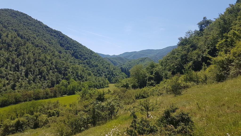 Locanda Di Alberi Borgo San Lorenzo Buitenkant foto